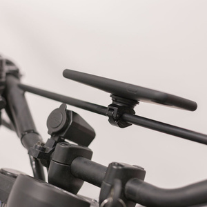 SP MIRROR MOUNT
